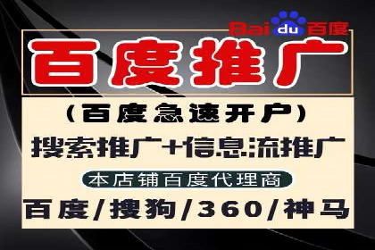 百度SEM广告投放效果评估的案例分析